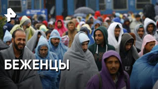«Невероятно интересные истории»: беженцы