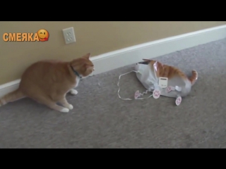 Приколы апрель 2016 №32