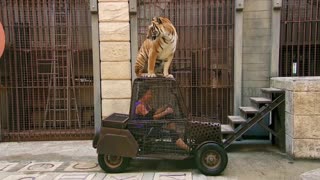 Испытание «Сафари» с Юлией Ковальчук | Форт Боярд