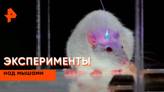 «Загадки человечества»: эксперименты над мышами
