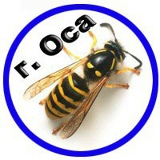 Group Avatar